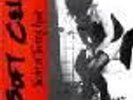 Soft Cell : The Art of Tearing Apart DoLP