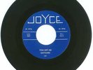 RARE 45 RPM, The Gaytunes, JoYce Records 101, BIG Y, VG++ You Left Me/I Love You