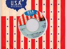 Oscar and the Majestics - I Can't Explain / My Girl Is Waiting - USA Garage Mod