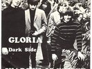 Shadows Of Knight - Gloria / Dark Side Unique 1966 Swedish only PS  VG+