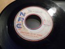 NRC 503 Ric Cartey Scratching on my screen rockabilly killer