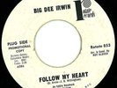 Big Dee Irwin : RARE Northern Soul 45 on Rotate-