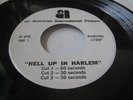 Hell Up in Harlem AIP Radio Spot 45 Record Blaxploitation Fred Williamson