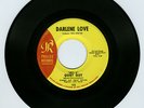 Darlene Love, Philles 123, He's a Quiet Guy / Stumble Fall  * rare stock copy *