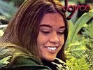 JOYCE ENCONTRO MARCADO LP