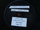 DUBKASM FEATURING LIDJ XYLON - EVERY LION 10