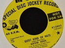 David Soul MGM 13842 DJ No One’s Gonna Cry and Quiet Kind of Hate