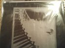 INTEGRITY THE BLACKEST CURSE W/ PULLING TEETH /125 Marble Grey RARE Gehenna