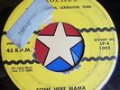 45 RPM record Lynn Pratt rockabilly Hornet 1002 they're learning come here mama