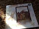 Led Zeppelin Symbols Original Purple Vinyl Beautiful