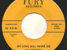 RARE & GREAT DOO WOP 1ST PRESS 45 
