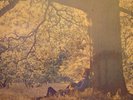YOKO ONO Plastic Ono Band LP original Apple SW 3373 NM- John Lennon The Beatles
