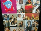 Deep Purple-Return of Knebworth Fayre-  live vinyl 2lp