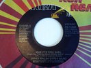 James Walsh Gypsy Band-Cuz It's You Girl/45 Mint-