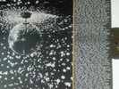 NEIL YOUNG/PEARL JAM - 