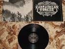 CARPATHIAN FOREST 