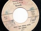The Zebras - What Was Being Done - Zebra  Very Rare 1966 garage 45 300 made HEAR