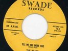 Raves-Tell Me One More Time-NM Swade Doo Wop 