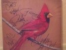 alexisonfire signed vinyl lp la dispute thrice city and colour thouche amore