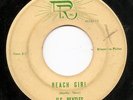 The U.S. Beatles - Beach Girl - DR - Very rare 1965 Garage 45 - LISTEN