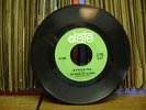 Dick Wagner & The Frosts SUNSHINE Date 45 Michigan Garage LITTLE GIRL Rare