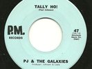 Surf PJ & THE GALAXIES Tally Ho 45 P.M. RECORDS Instrumental