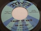 THE JUST LUV : Valley Of Hate 45 Record MS 216 Rock/Psych/Vietnam 1966 Rare NMT