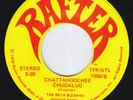 BETA BIZARRE BOOGIE BAND Chattahoochee Chugalug UNKNOWN funk MODERN SOUL disco