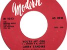Rare Funk/Soul LARRY SANDERS You're My Girl/I'm In Love MODERN 45 #1053 VG++