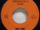 45 Garage-Psych EMERGENCY EXIT Why Girl / Maybe Too Late 1966 Ru-Ro 0412