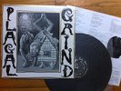 PLAGAL GRIND - s/t 12