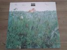 Wolfgang Dauner Group-Rischka's Soul CTR 15081 Privatlabel rare Prog Kraut Psych