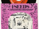 THE SEEDS -- A Thousand Shadows -- psych punk garage | 45 & PICTURE SLEEVE