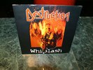 DESTRUCTION WHIPLASH 7