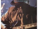 JOHN LEE HOOKER - Boom Boom Vinyl LP mint- Condition