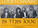 WHITESNAKE 