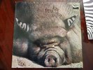 Kin Ping Meh Same 2 LP 1972 Deutsche Erstpressung  Kraut  Zebra (Polydor)