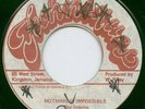 RARE ROOTS REGGAE - NOTHING IS IMPOSSIBLE - THE INTERNS - TECHNIQUES 7
