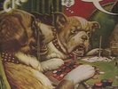 HEAVY CRUISER LP, sealed--LUCKY DOG, on Family 2712, early 70s METAL