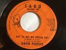 NORTHERN SOUL 45/ DAVID PEOPLES 