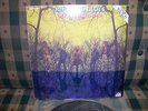 american blues-do their thing-rare lp/zz top-moving sidewalks-fuzz psych garage