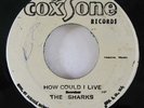 Reggae 45 SHARKS / JEFF & MARCIA How Could I Live / Words on Coxsone