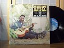 MUDDY WATERS LP 