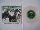 CHAIN OF STRENGHT,orig.,sxe.bane,judge,ten yard fight,,youth of today