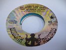 HEAR Garage/Psych Promo 45 THE MYDDLE CLASS Don't Let Me Sleep Too Long on Budd
