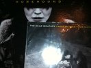 THE DEAD WEATHER ALBUM AND SINGLE VINYLS
