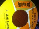 There's A Ghost In My House- R Dean Taylor(VIP Rare Coloured Demo)