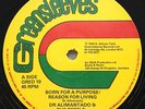 DR ALIMANTADO Born For A Purpose on GREENSLEEVES ** roots 12