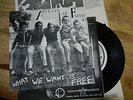 ARTICLES OF FAITH 'WHAT WE WANT IS FREE' 45 RARE VG+ W/ INSERT NAKED RAYGUN KBD