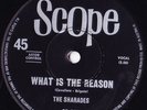 SHARADES: WHAT IS THE REASON/LOVE MINUS ZERO AUSSIE SCOPE 009 EX/EX-  1967